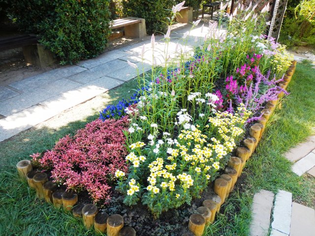 秋の装いの花壇に センター前庭花壇 花まちの裏庭