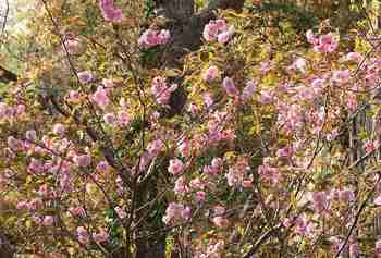 IMG_0271a.jpg