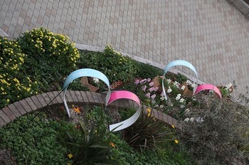 IMG_7677.jpg