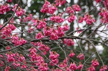 IMG_8826.jpg