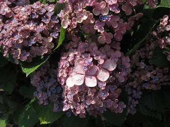 IMG_8914.jpg
