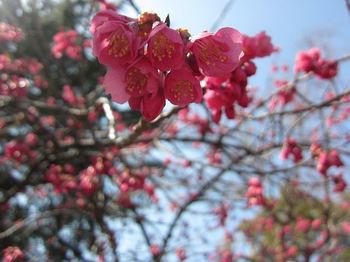 IMG_9079.jpg