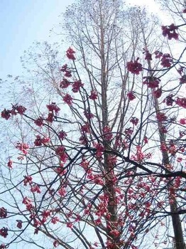 IMG_9094.jpg