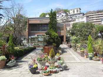 IMG_9893.jpg