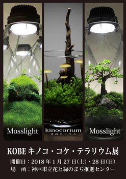KOBEキノコ・こけ・テラ.jpg